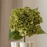 Hydrangea Flower Moss Green