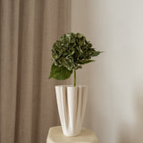 Hydrangea Flower Dark Moss Green