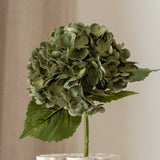 Hydrangea Flower Dark Moss Green