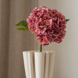 Hydrangea Flower Pink
