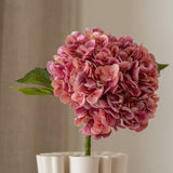 Hydrangea Flower Pink