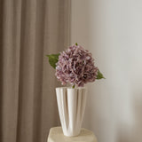 Hydrangea Flower Purple
