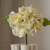 Hydrangea Flower Cream
