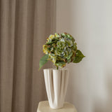 Hydrangea Flower Multicolor