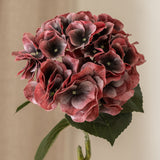 Hydrangea Flower Tall Burgundy