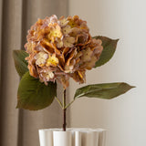 Hydrangea Flower Medium Orange