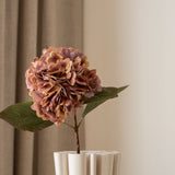 Hydrangea Flower Medium Pink