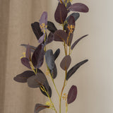 Purple Leaf Branch
