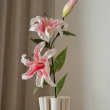 Lily Flower Pink