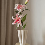 Lily Flower Pink