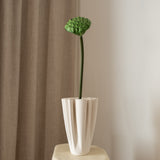 Lotus Seedpod Flower