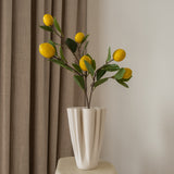 Lemon Fruit Tree Branch