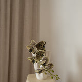 Orchid Flower