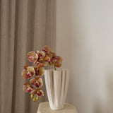 Orchid Flower