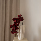 Orchid Flower Burgundy