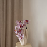 Orchid Flower Purple