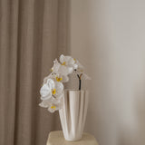 Orchid Flower White
