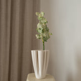 Orchid Flower Green