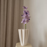 Orchid Flower Purple