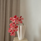 Orchid Flower Light Pink