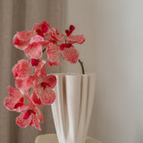 Orchid Flower Light Pink