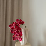 Orchid Flower Pink