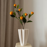 Orange Fruit Tree Branch