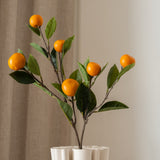 Orange Fruit Tree Branch