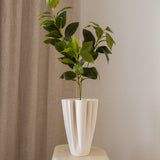 Osmanthus Leaf
