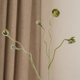 Poppy Bud