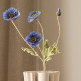 Poppy Flower Blue