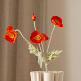 Poppy Flower Dark Orange
