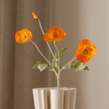 Poppy Flower Orange