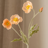 Poppy Flower Peach