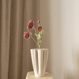Poppy Flower Purple