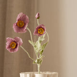 Poppy Flower Purple