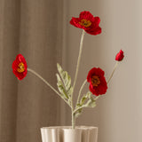 Poppy Flower Red