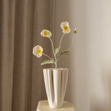 Poppy Flower White