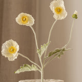 Poppy Flower White