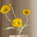 Poppy Flower Yellow