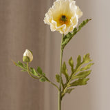 Poppy Flower Medium Cream