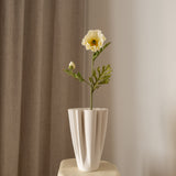 Poppy Flower Medium Cream