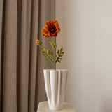 Poppy Flower Big Orange