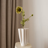 Poppy Flower Medium Green