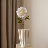 Peony Flower White