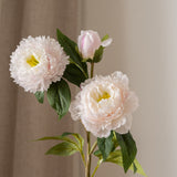 Peony Flower Light Pink