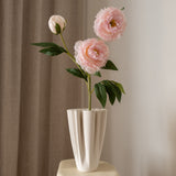 Peony Flower Pink