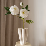 Peony Flower White