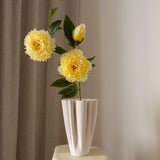 Peony Flower Yellow