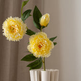 Peony Flower Yellow